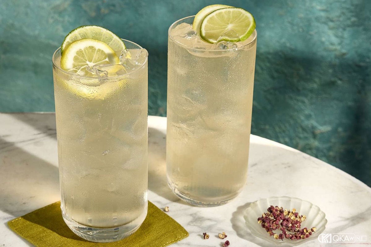 Gin Tonic
